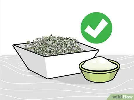 Image intitulée Grow Broccoli Sprouts Step 15