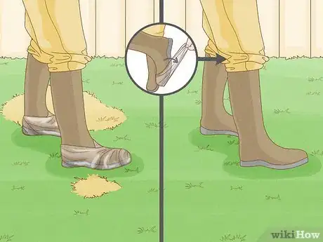 Image intitulée Treat Lawn Fungus Step 5