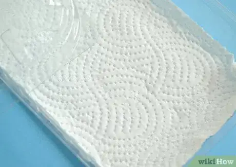 Image intitulée Store Raspberries Step 2