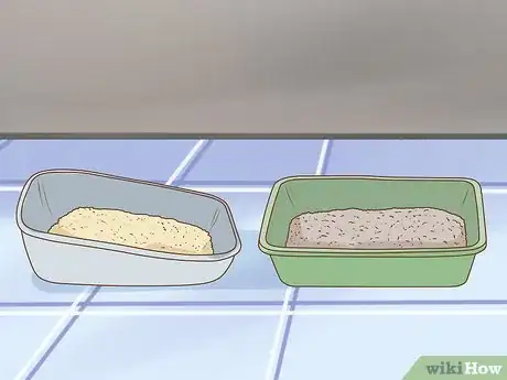 Image intitulée Change an Outdoor Cat Into an Indoor Cat Step 6