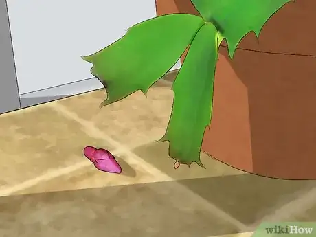 Image intitulée Care for a Christmas Cactus Step 8