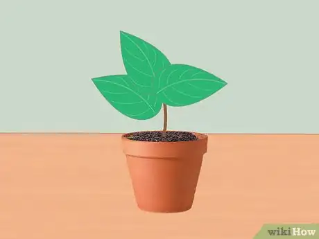 Image intitulée Measure Growth Rate of Plants Step 5