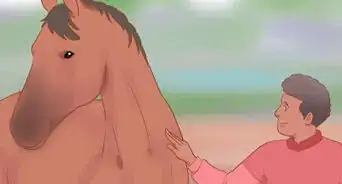 comprendre la communication avec un cheval