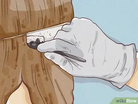 Image intitulée Dye the Underlayer of Your Hair Step 12