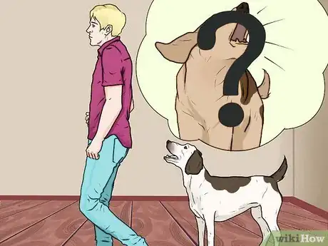Image intitulée Punish a Dog Step 3
