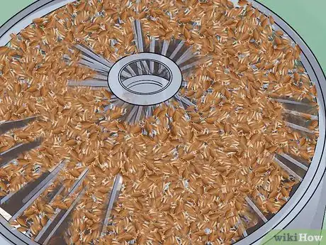 Image intitulée Malt Barley Step 12