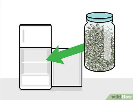 Image intitulée Grow Broccoli Sprouts Step 14