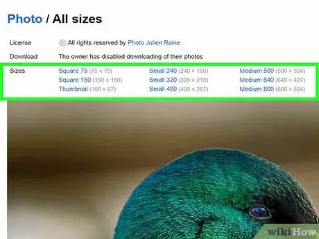 Image intitulée Download Images from Flickr Step 6