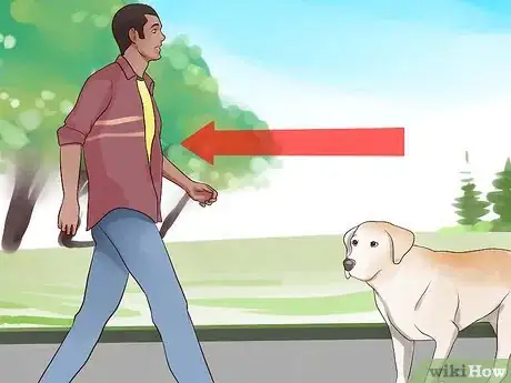 Image intitulée Keep Your Dog from Chasing Cats Step 14