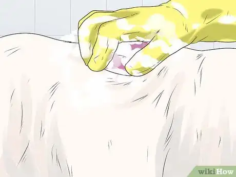Image intitulée Groom a Westie Step 18