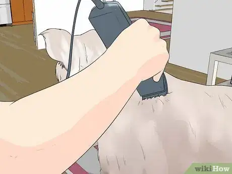 Image intitulée Groom a Westie Step 10