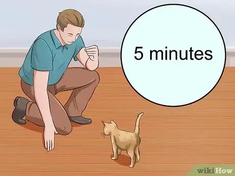 Image intitulée Train a Kitten Step 28