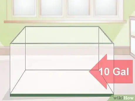 Image intitulée Care for Salamanders Step 1