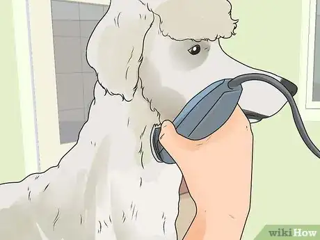 Image intitulée Get Burrs Out of Dog Hair Step 7
