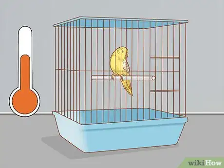 Image intitulée Treat Diarrhea in Parakeets Step 4