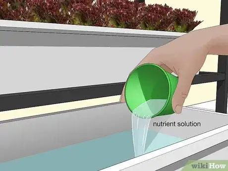 Image intitulée Design a Successful Indoor Garden Step 13