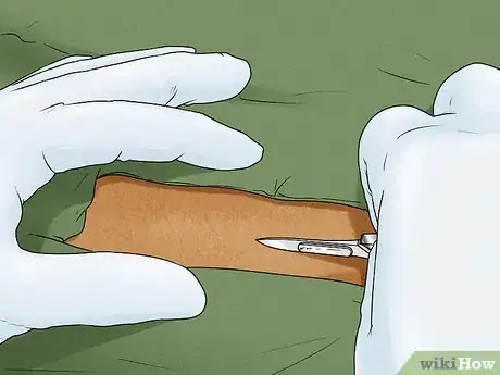 Image intitulée Know when a Dog Is Done Giving Birth Step 11