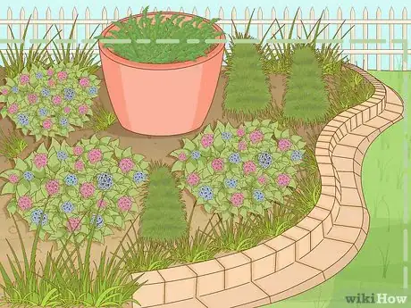 Image intitulée Plant Poppy Seeds Step 3