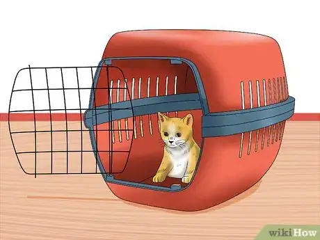 Image intitulée Separate Kittens from a Mother Cat for Adoption Step 13