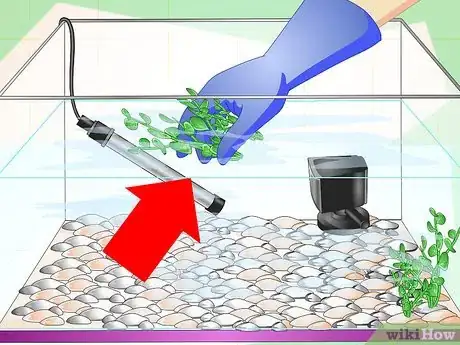 Image intitulée Fix Cloudy Aquarium Water Step 2