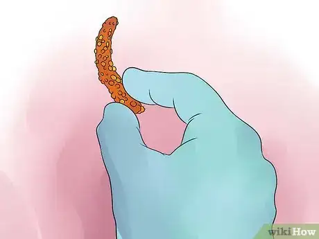 Image intitulée Grow Anthurium Plants Step 11