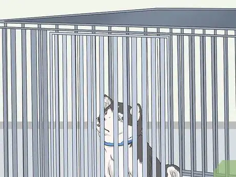 Image intitulée Potty Train Your Puppy Using a Bell Step 11