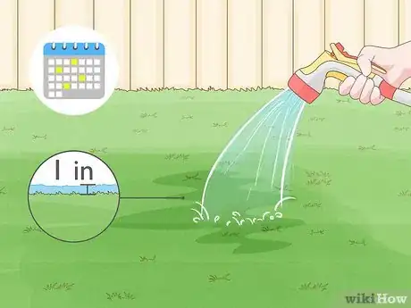 Image intitulée Treat Lawn Fungus Step 9