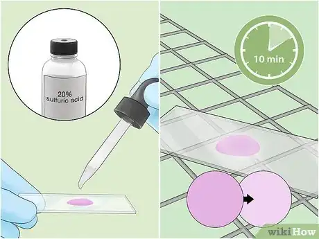Image intitulée Identify Bacteria Step 18