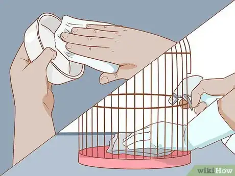 Image intitulée Treat Diarrhea in Parakeets Step 8