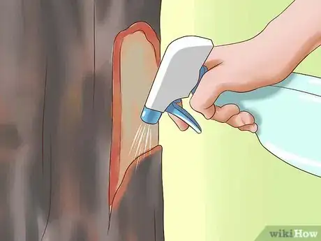 Image intitulée Kill a Tree Step 10