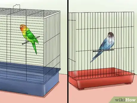 Image intitulée Teach Your Budgie to Talk Step 3