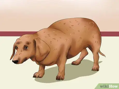 Image intitulée Get Your Dog to Eat Dry Food Step 3