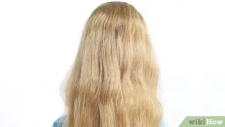 Image intitulée Make a Dutch Braid Step 1