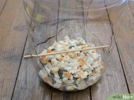 Image intitulée Build a Milk Jug Bird Feeder Step 9