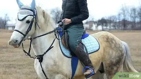 Image intitulée Ride a Horse Step 1