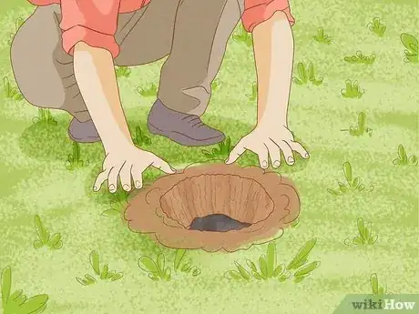 Image intitulée Catch Moles Step 9