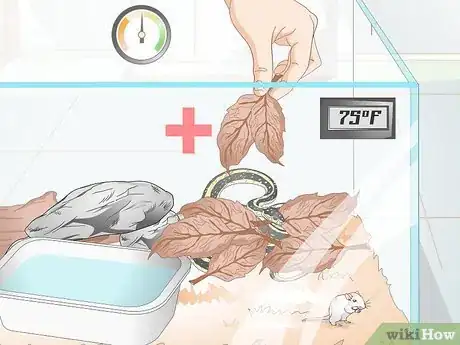 Image intitulée Take Care of a Garter Snake Step 13