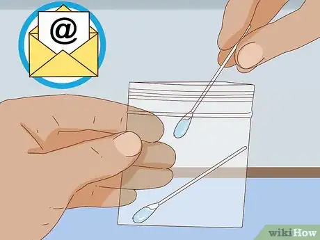 Image intitulée Identify a German Shepherd Step 18