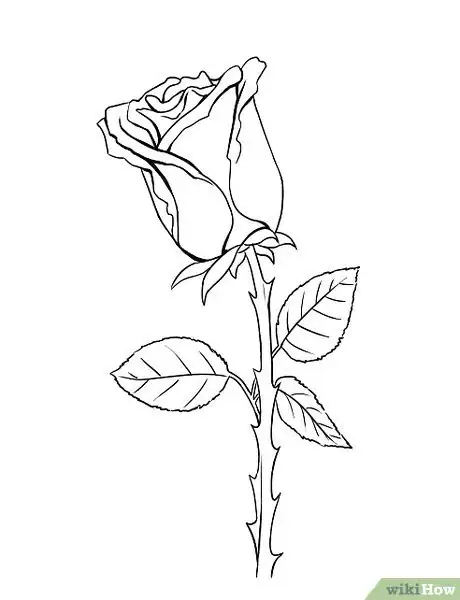 Image intitulée Draw a Rose Step 11