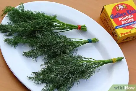 Image intitulée Dry Dill Step 5
