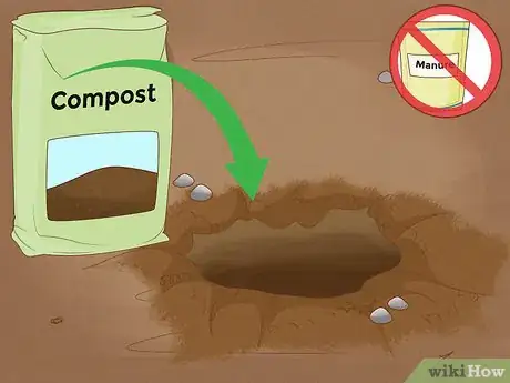 Image intitulée Grow Papaya Step 10