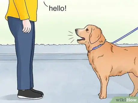 Image intitulée Stop Dogs from Barking at People Step 1