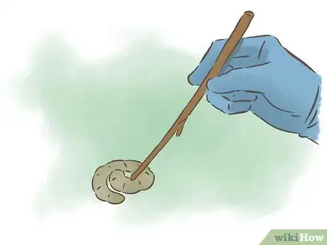 Image intitulée Grow Kidney Beans Step 14