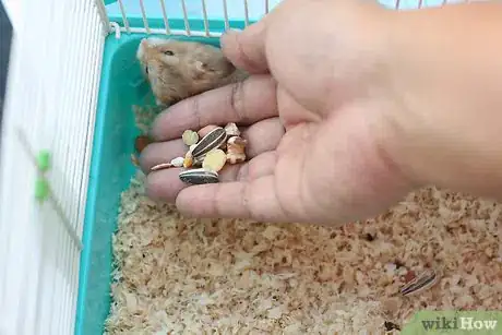 Image intitulée Care for a Hamster Step 24
