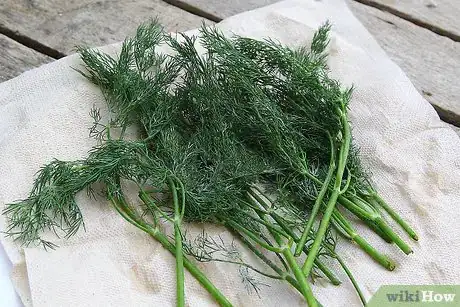 Image intitulée Dry Dill Step 4