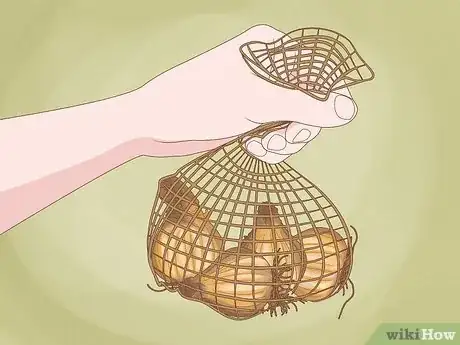 Image intitulée Cure Daffodil Bulbs for Replanting Step 7