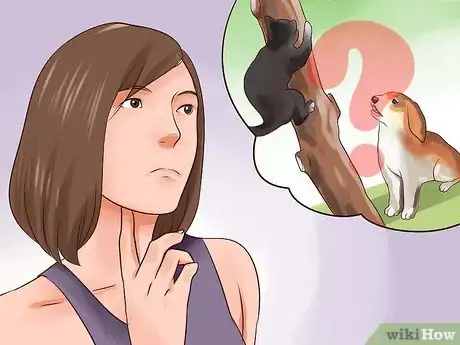 Image intitulée Keep Your Dog from Chasing Cats Step 19