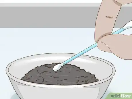 Image intitulée Stop a Dog's Quick from Bleeding Step 14