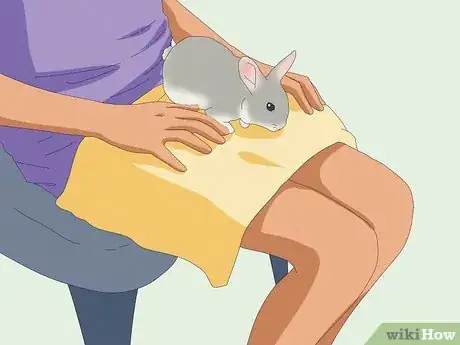 Image intitulée Pet a Rabbit Step 6