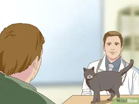 Image intitulée Change an Outdoor Cat Into an Indoor Cat Step 3